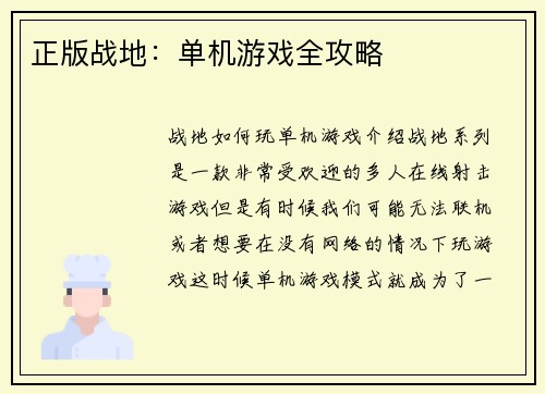 正版战地:单机游戏全攻略